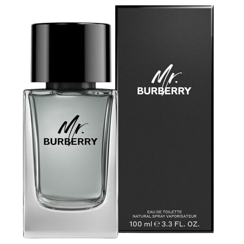 burberry mr. burberry for men eau de toilette