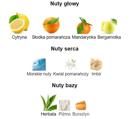 armaf odyssey limoni fresh odlewka perfum armaf odyssey limoni fresh odlewka perfum